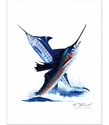 "Jump" Los Suenos Tournament Art